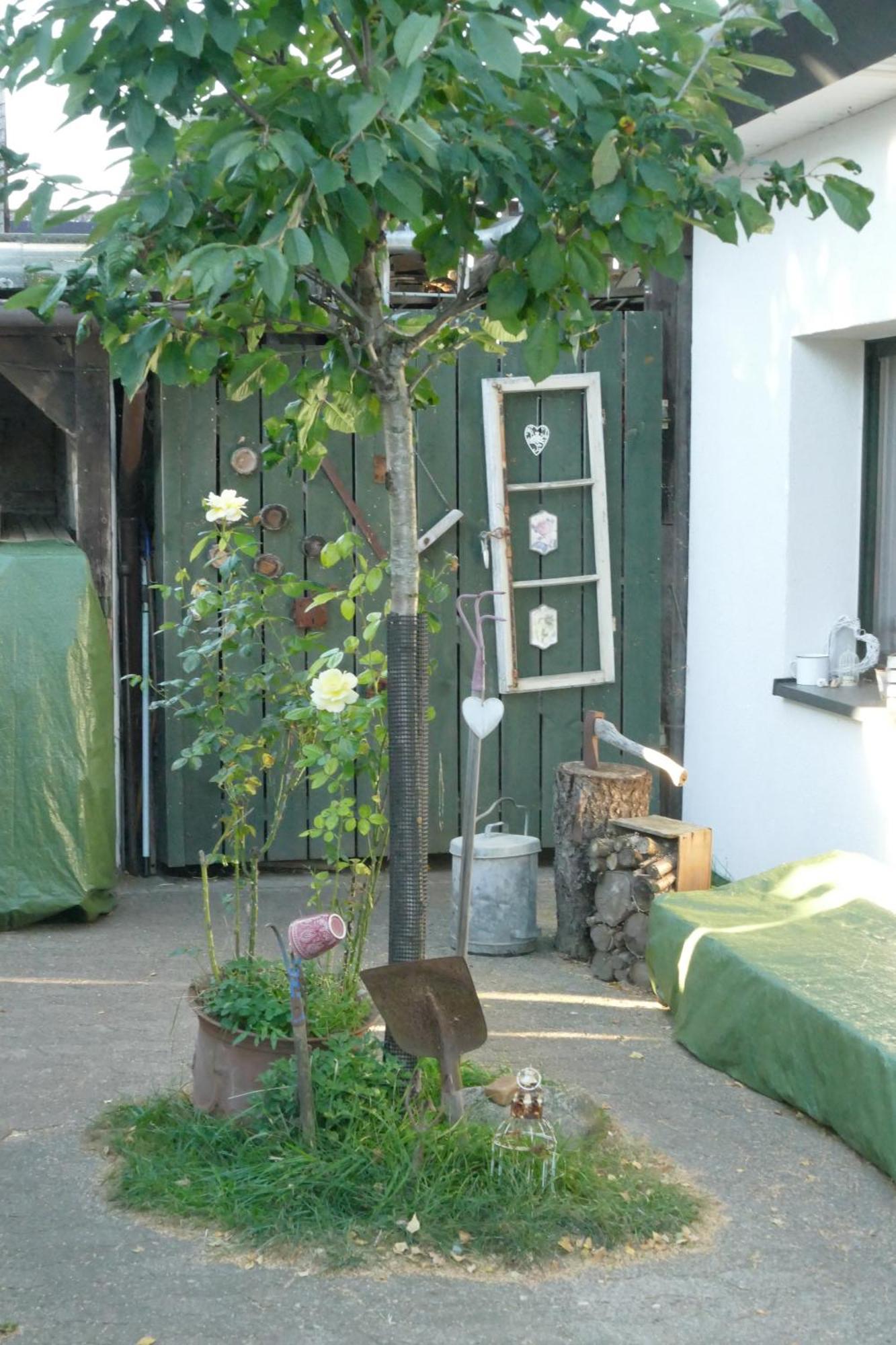 Villa Schaeferwagen Auf'M Minibauernhof In Munster Extérieur photo